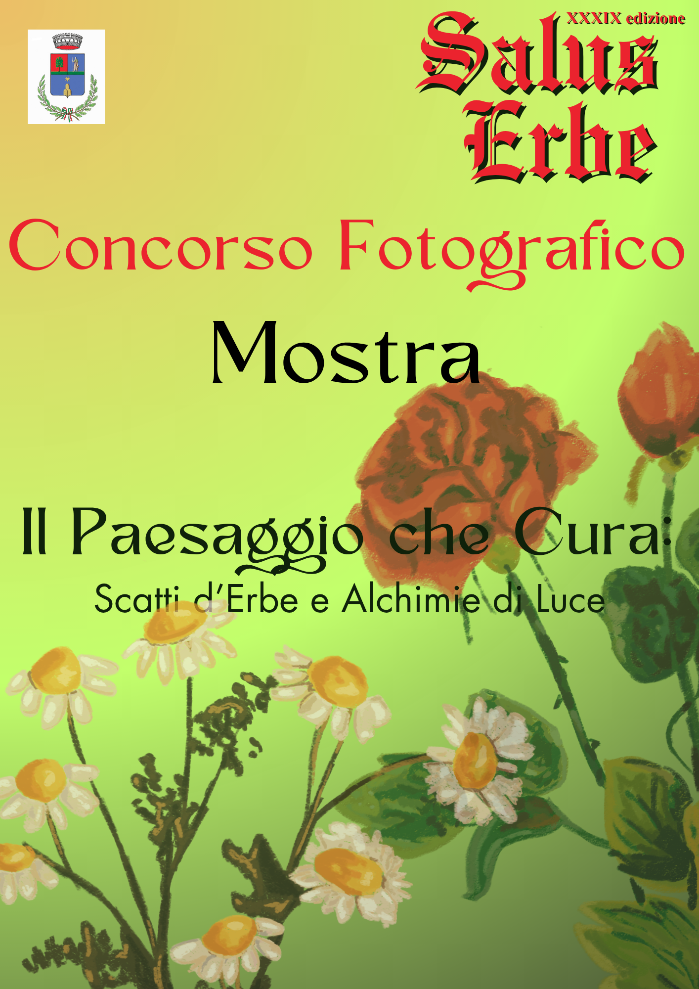 descrizione immagine